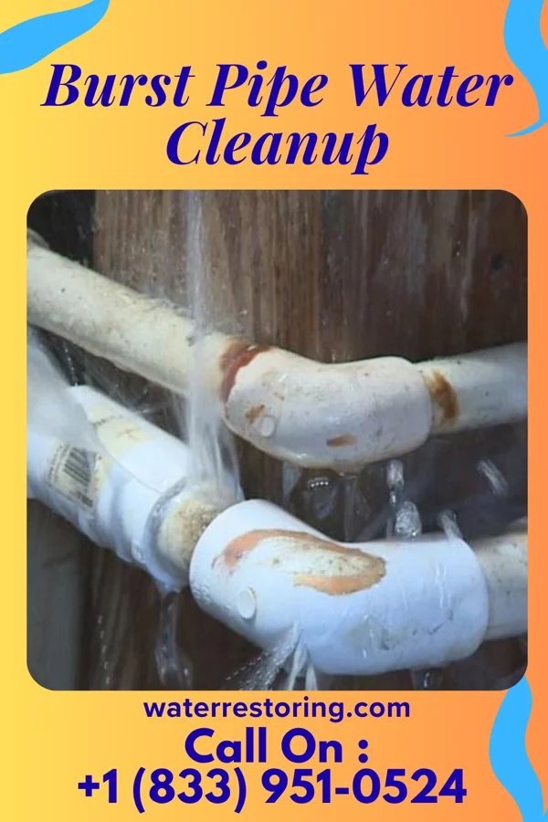 Burst Pipe Water Cleanup in South River, NJ