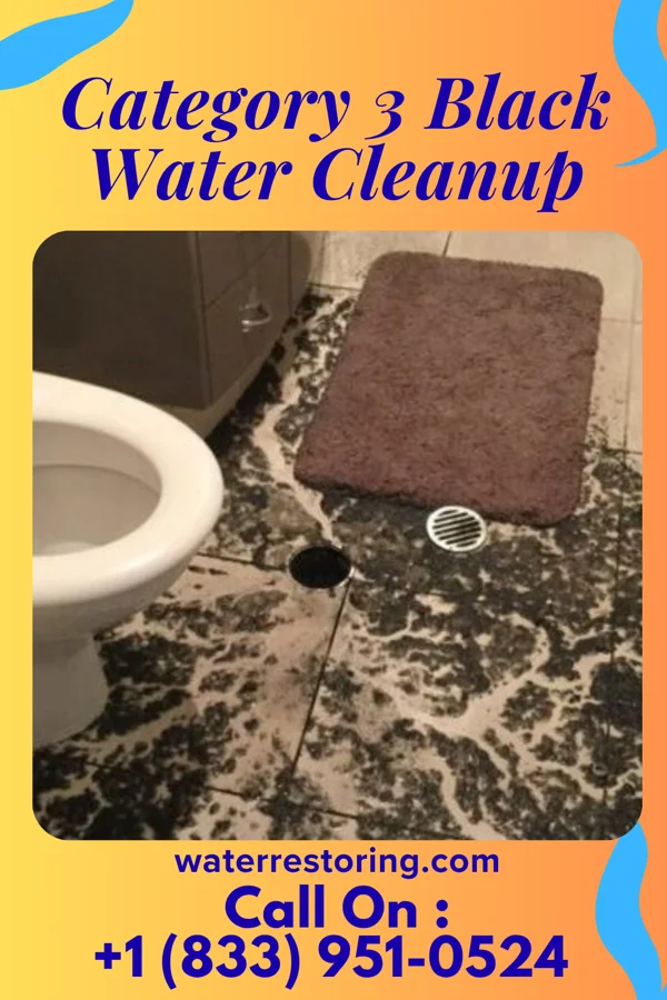 Category 3 Black Water Cleanup in South River, NJ
