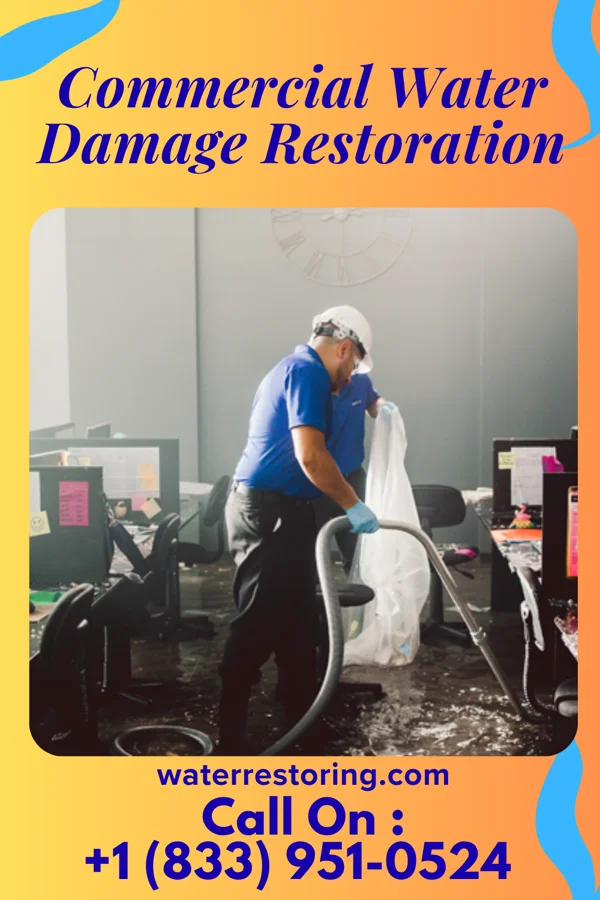 Commercial Water Damage Restoration in South River, NJ
