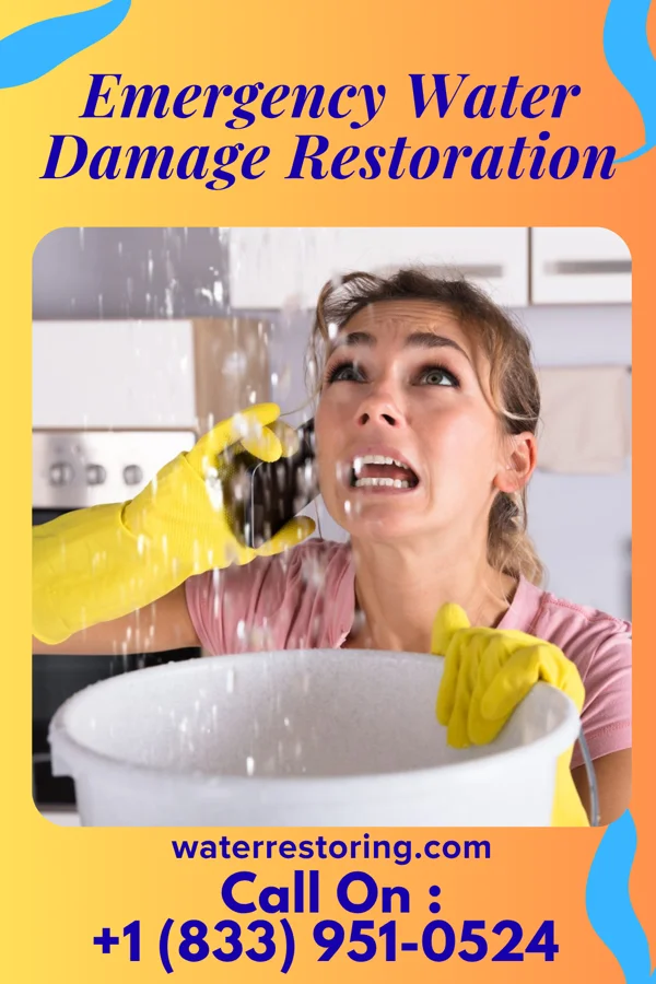 Emergency Water Damage Restoration in South River, NJ