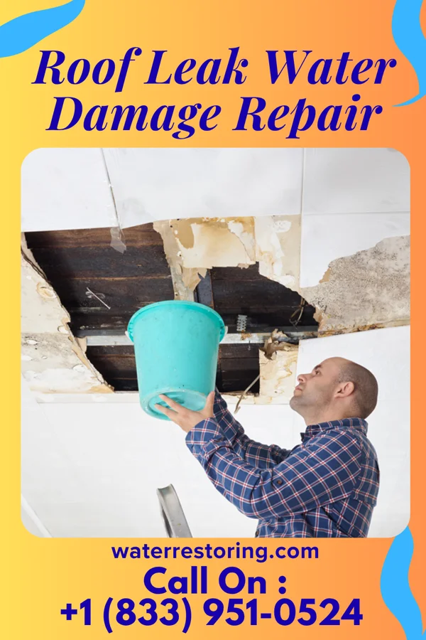 Roof Leak Water Damage Repair in South River, NJ