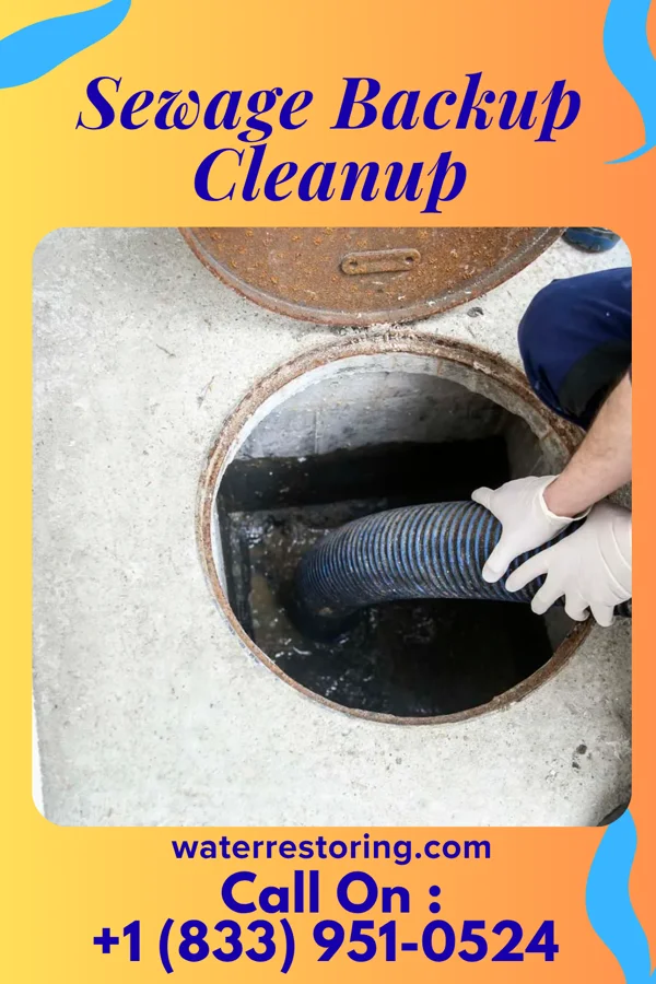 Sewage Backup Cleanup in South River, NJ