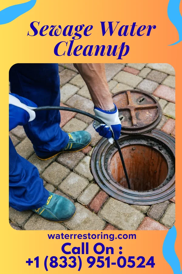 Sewage Water Cleanup in South River, NJ