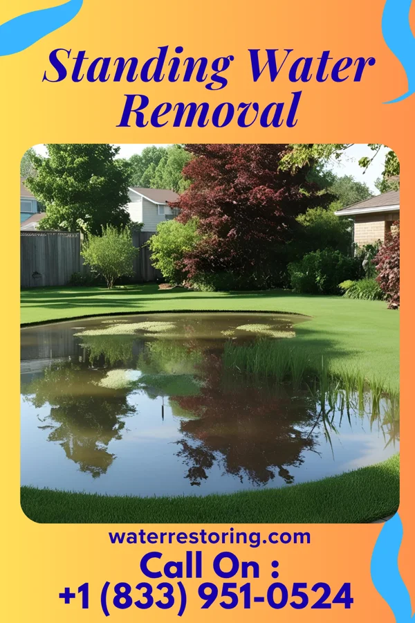 Standing Water Removal in South River, NJ